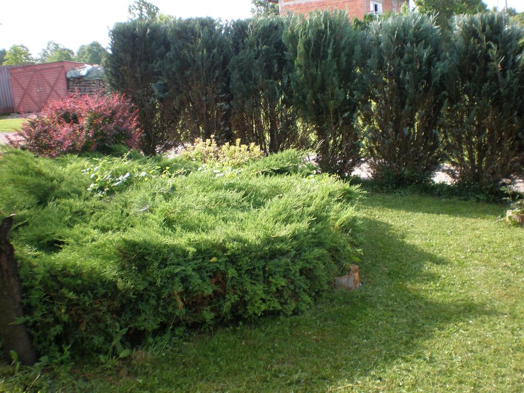 Apartment Vi&Mi Szluin Kültér fotó